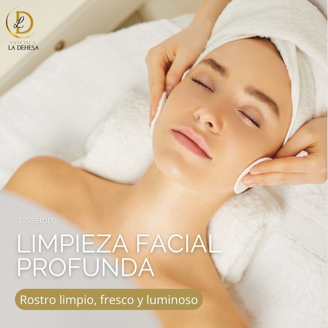 Limpieza Facial con Alta Hidratación (2 sesiones)